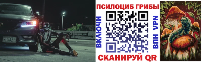 Галлюциногенные грибы Psilocybe  Купить закладки  Торопец 