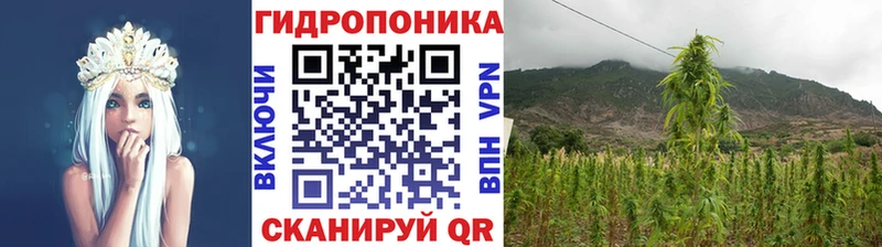 Бошки Шишки сатива  Купить где  Торопец 